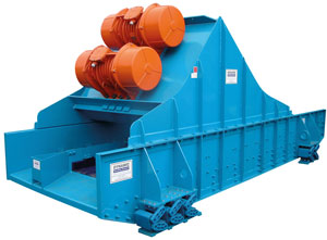 Drain and rinse screen